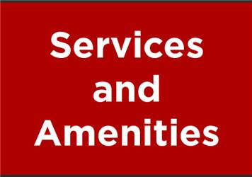 February 2025 Services & Amenities Committee Meeting